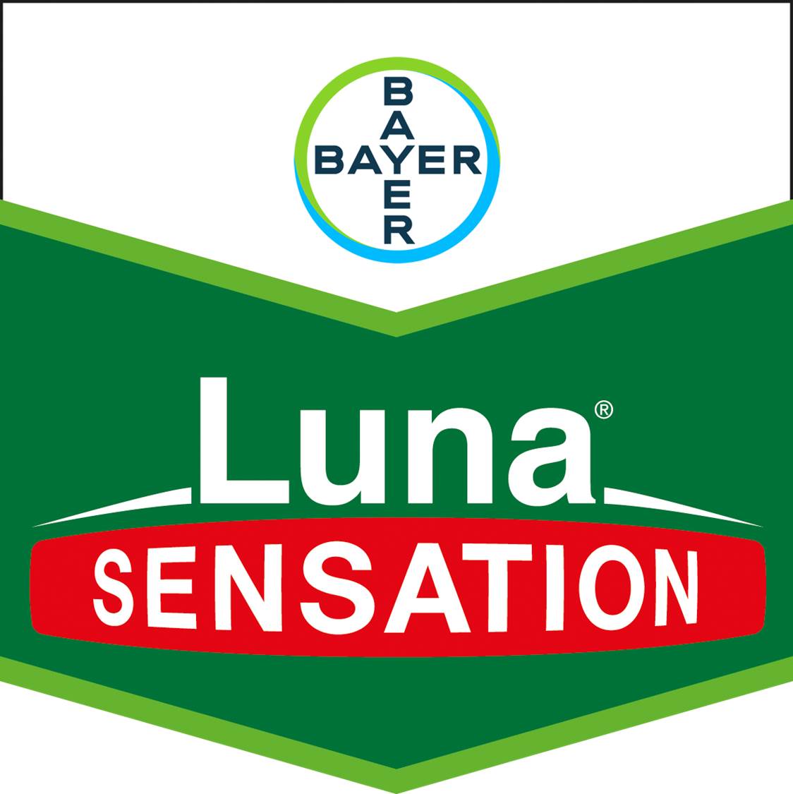 luna sensation